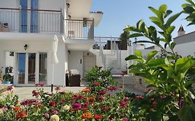 Meraki Skopelos